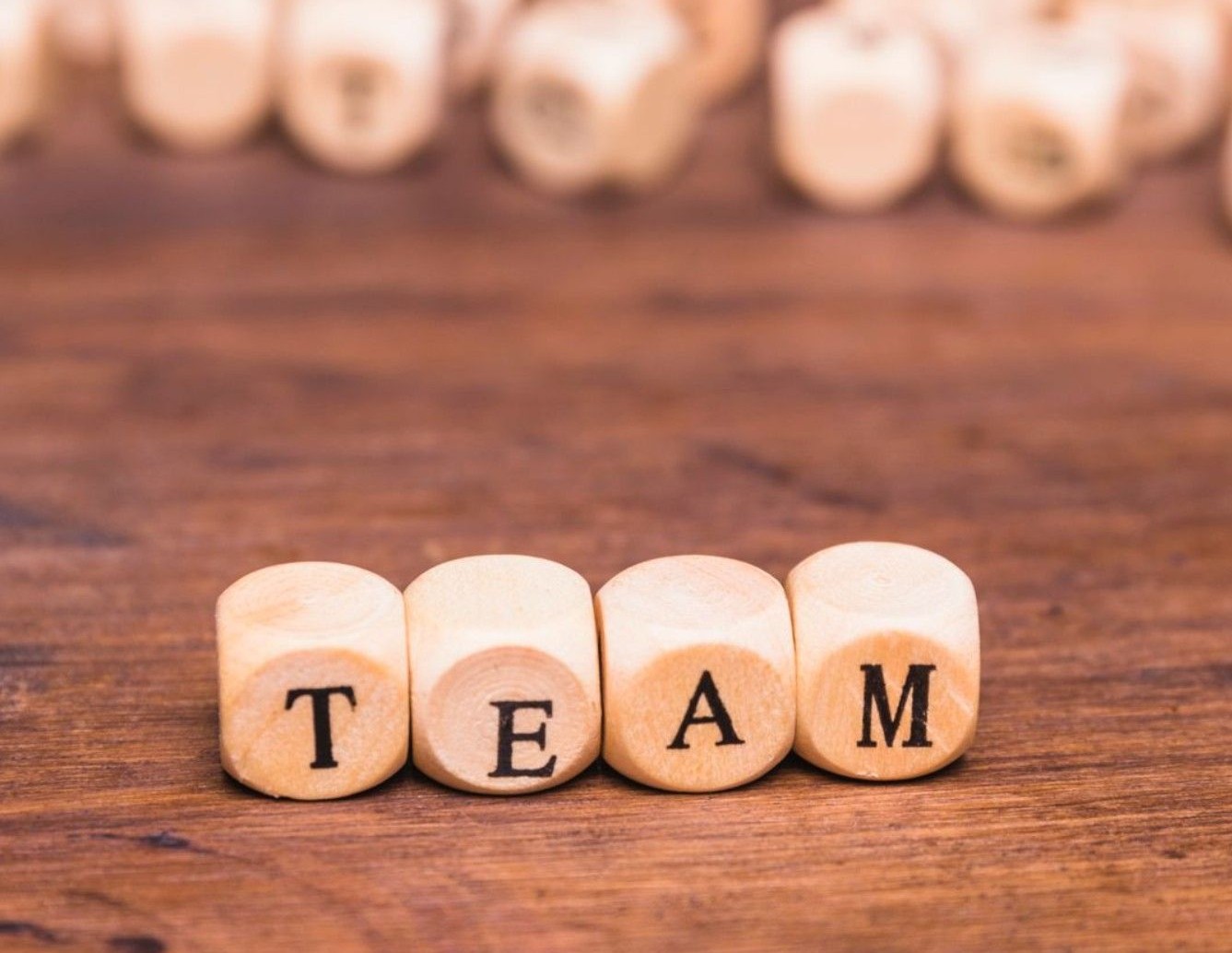Our Team